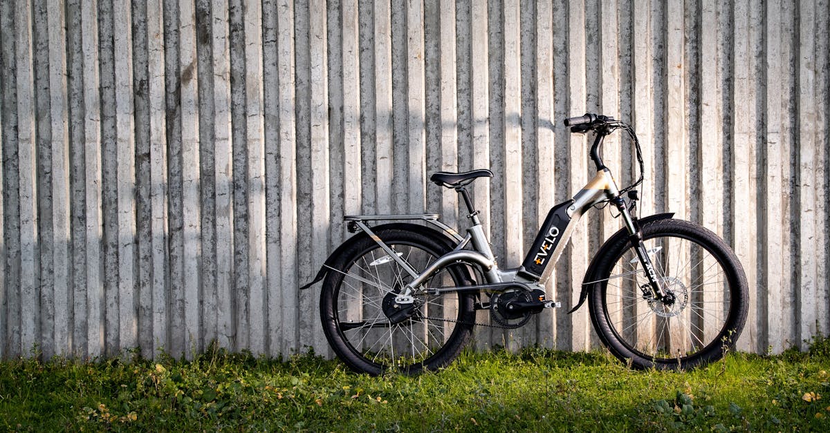 découvrez les motos électriques : performant, durable et respectueux de l'environnement. profitez d'une conduite silencieuse et sans émissions tout en explorant des modèles innovants adaptés à tous les styles de vie.